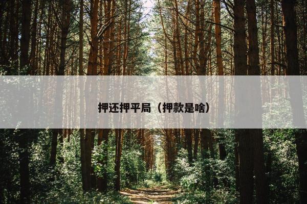 押还押平局（押款是啥）