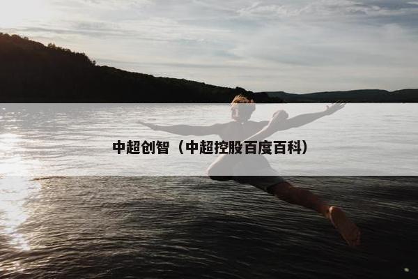 中超创智（中超控股百度百科）