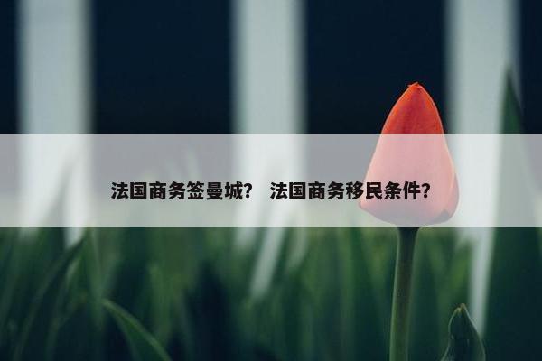 法国商务签曼城？ 法国商务移民条件？