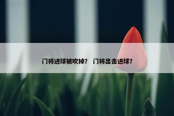 门将进球被吹掉？ 门将出击进球？