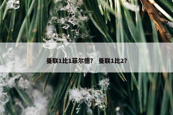 曼联1比1菲尔德？ 曼联1比2？
