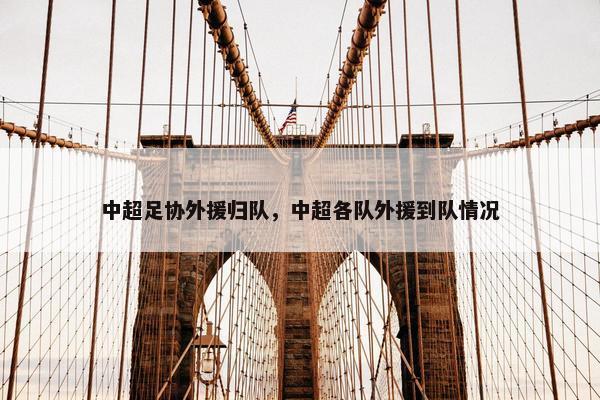 中超足协外援归队，中超各队外援到队情况