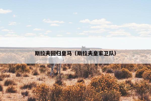 斯拉夫回归皇马（斯拉夫皇家卫队）