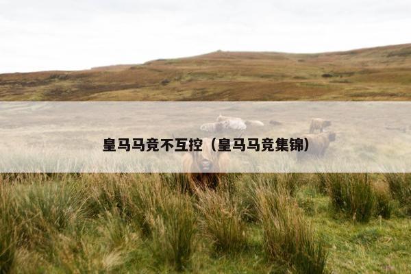 皇马马竞不互控（皇马马竞集锦）