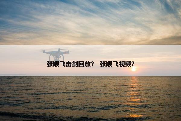 张顺飞击剑回放？ 张顺飞视频？