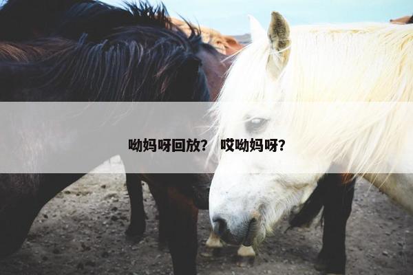 呦妈呀回放？ 哎呦妈呀？