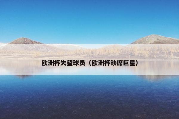 欧洲杯失望球员（欧洲杯缺席巨星）