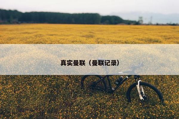 真实曼联（曼联记录）