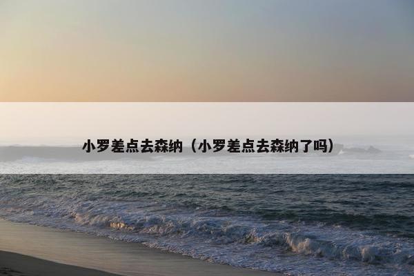 小罗差点去森纳（小罗差点去森纳了吗）
