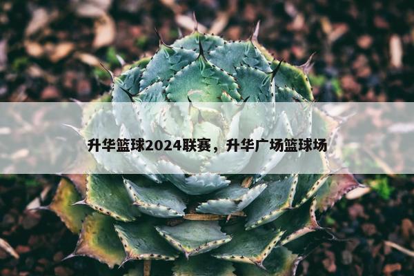 升华篮球2024联赛，升华广场篮球场
