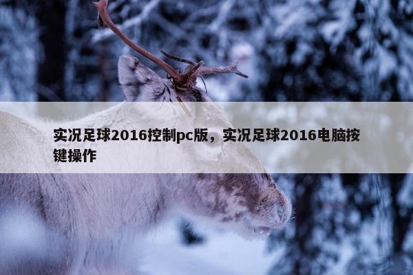 实况足球2016控制pc版，实况足球2016电脑按键操作