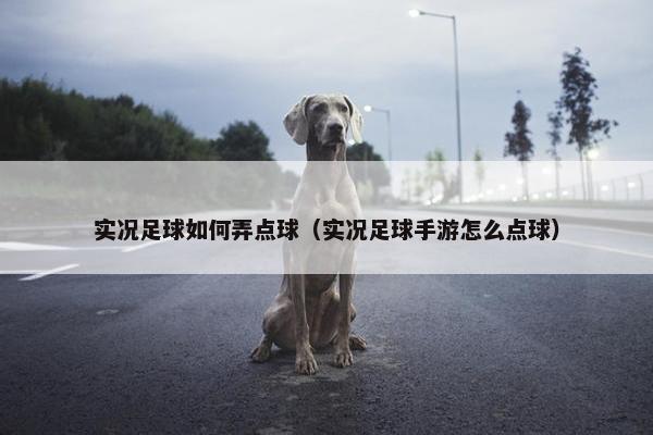 实况足球如何弄点球（实况足球手游怎么点球）