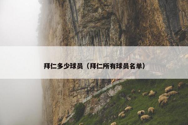拜仁多少球员（拜仁所有球员名单）