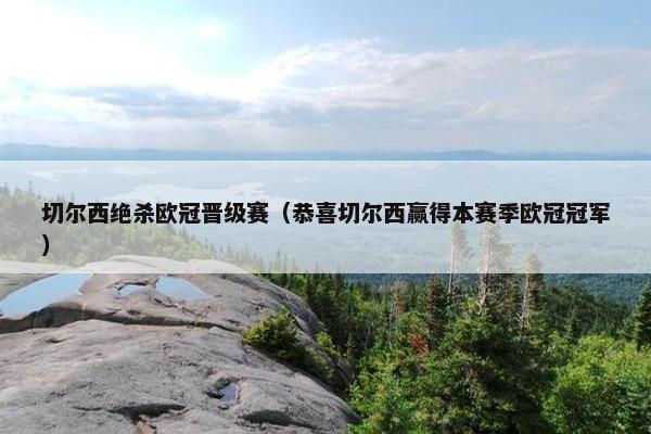 切尔西绝杀欧冠晋级赛（恭喜切尔西赢得本赛季欧冠冠军）