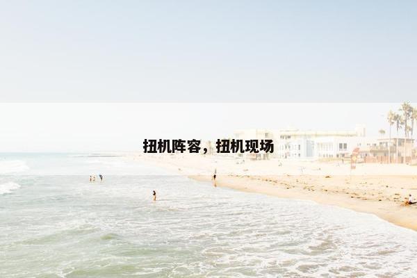 扭机阵容，扭机现场