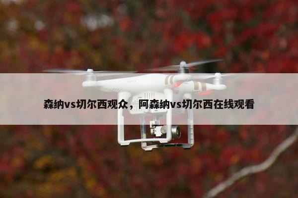 森纳vs切尔西观众，阿森纳vs切尔西在线观看