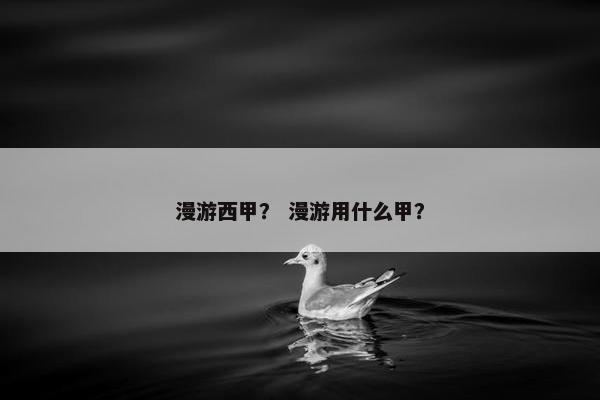 漫游西甲? 漫游用什么甲? 漫游西甲? 漫游用什么甲?