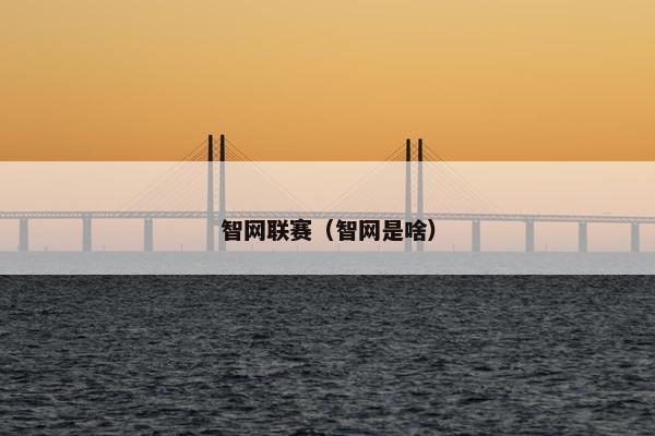 智网联赛(智网是啥) 智网联赛(智网是啥)
