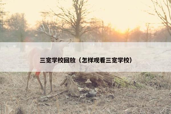 三宽学校回放(怎样观看三宽学校) 三宽学校回放(怎样观看三宽学校)