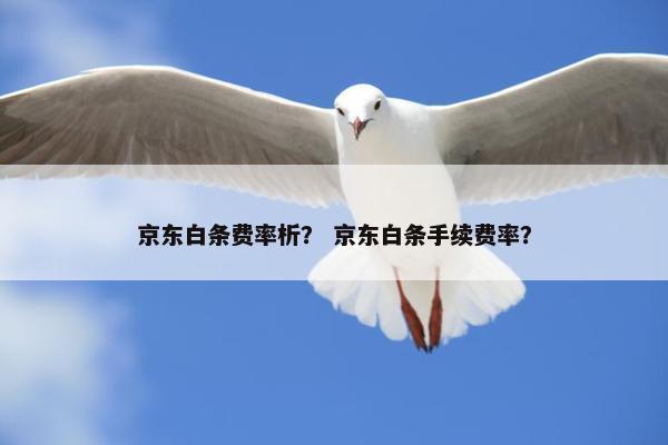 京东白条费率析? 京东白条手续费率? 京东白条费率析? 京东白条手续费率?