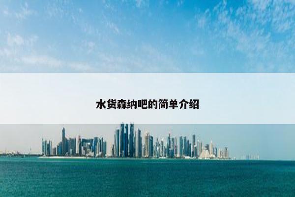 水货森纳吧的简单介绍 水货森纳吧的简单介绍