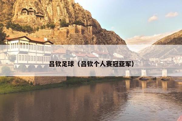 吕钦足球（吕钦个人赛冠亚军）