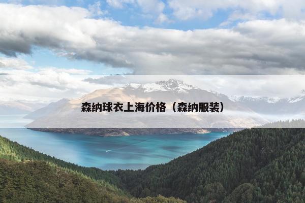 森纳球衣上海价格(森纳服装) 森纳球衣上海价格(森纳服装)