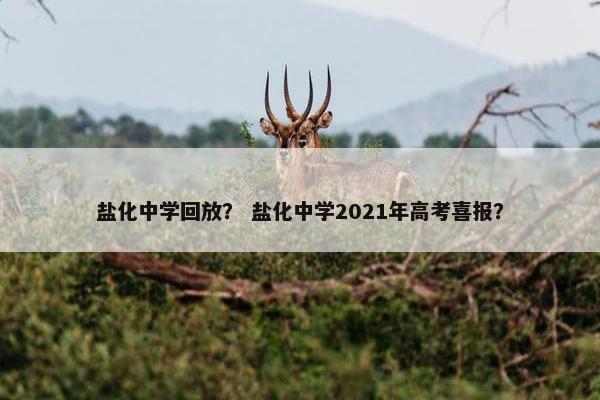 盐化中学回放？ 盐化中学2021年高考喜报？