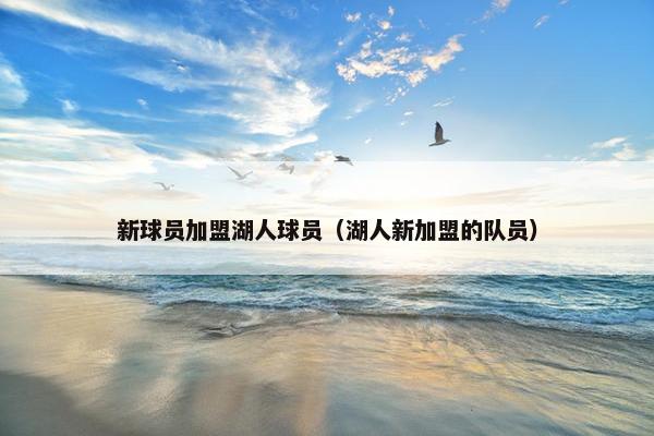 新球员加盟湖人球员（湖人新加盟的队员）