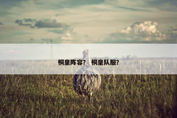 桐皇阵容？ 桐皇队服？