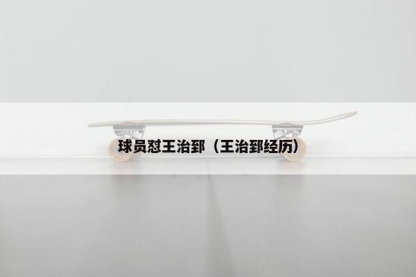 球员怼王治郅(王治郅经历) 球员怼王治郅(王治郅经历)