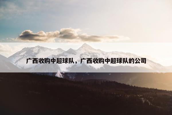 广西收购中超球队,广西收购中超球队的公司 广西收购中超球队,广西收购中超球队的公司