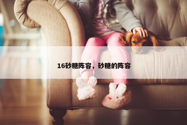 16砂糖阵容，砂糖的阵容