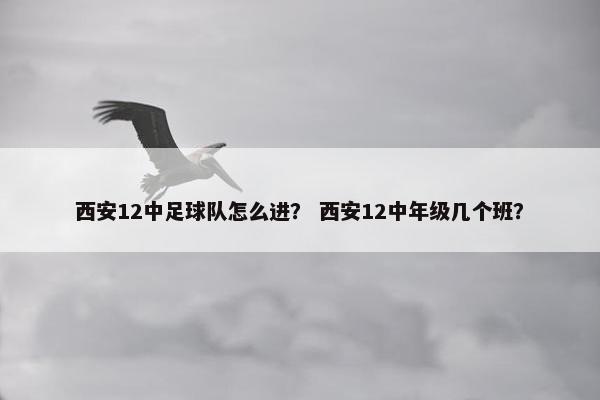 西安12中足球队怎么进? 西安12中年级几个班? 西安12中足球队怎么进? 西安12中年级几个班?