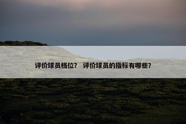 评价球员档位? 评价球员的指标有哪些? 评价球员档位? 评价球员的指标有哪些?