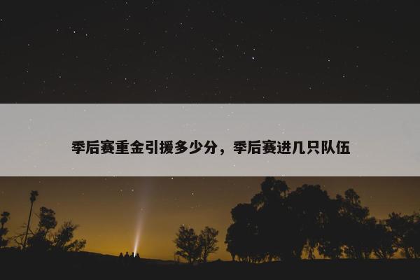 季后赛重金引援多少分，季后赛进几只队伍