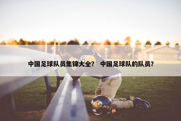 中国足球队员集锦大全？ 中国足球队的队员？