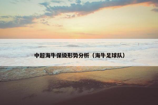 中超海牛保级形势分析（海牛足球队）