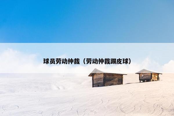球员劳动仲裁(劳动仲裁踢皮球) 球员劳动仲裁(劳动仲裁踢皮球)
