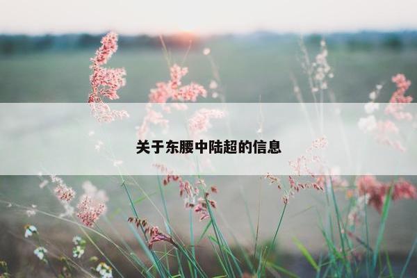 关于东腰中陆超的信息