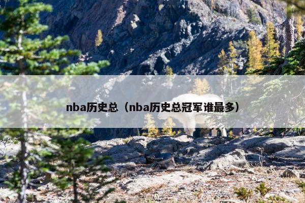 nba历史总（nba历史总冠军谁最多）