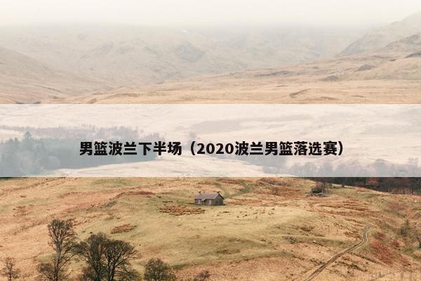 男篮波兰下半场（2020波兰男篮落选赛）