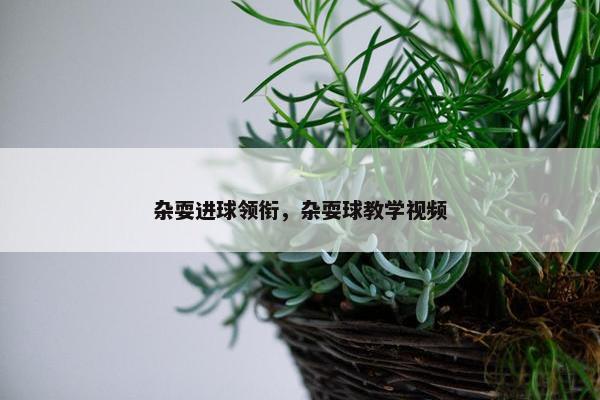 杂耍进球领衔，杂耍球教学视频