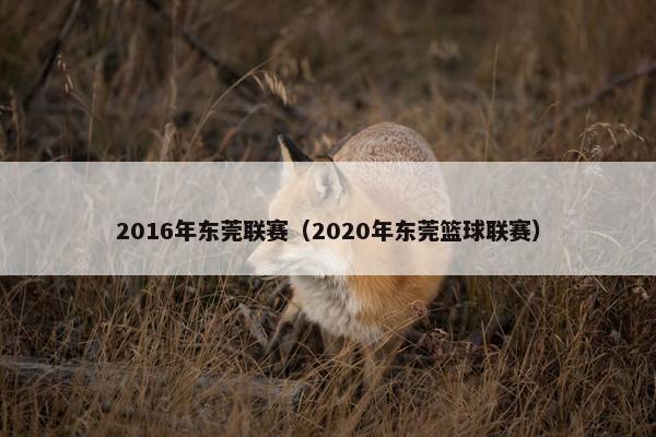 2016年东莞联赛（2020年东莞篮球联赛）