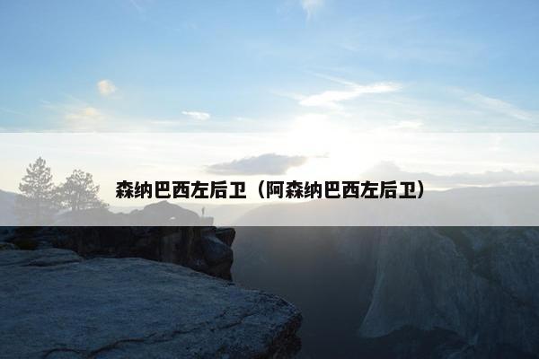 森纳巴西左后卫(阿森纳巴西左后卫) 森纳巴西左后卫(阿森纳巴西左后卫)