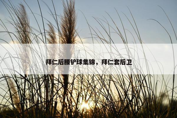 拜仁后腰铲球集锦，拜仁套后卫