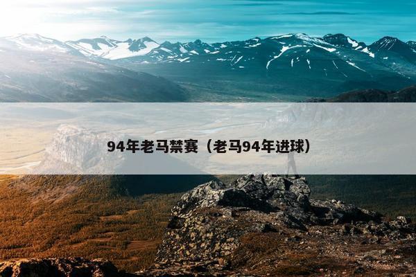94年老马禁赛（老马94年进球）