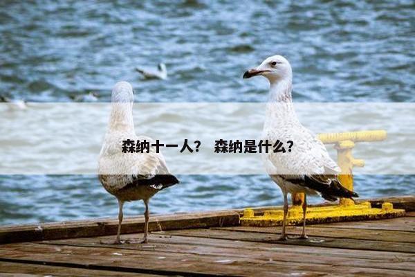 森纳十一人？ 森纳是什么？