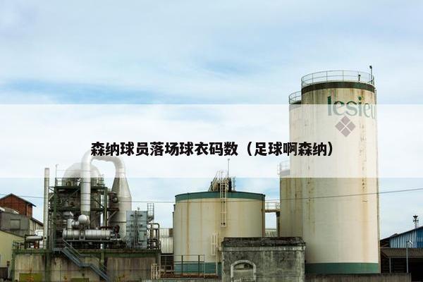 森纳球员落场球衣码数（足球啊森纳）