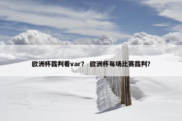 欧洲杯裁判看var？ 欧洲杯每场比赛裁判？